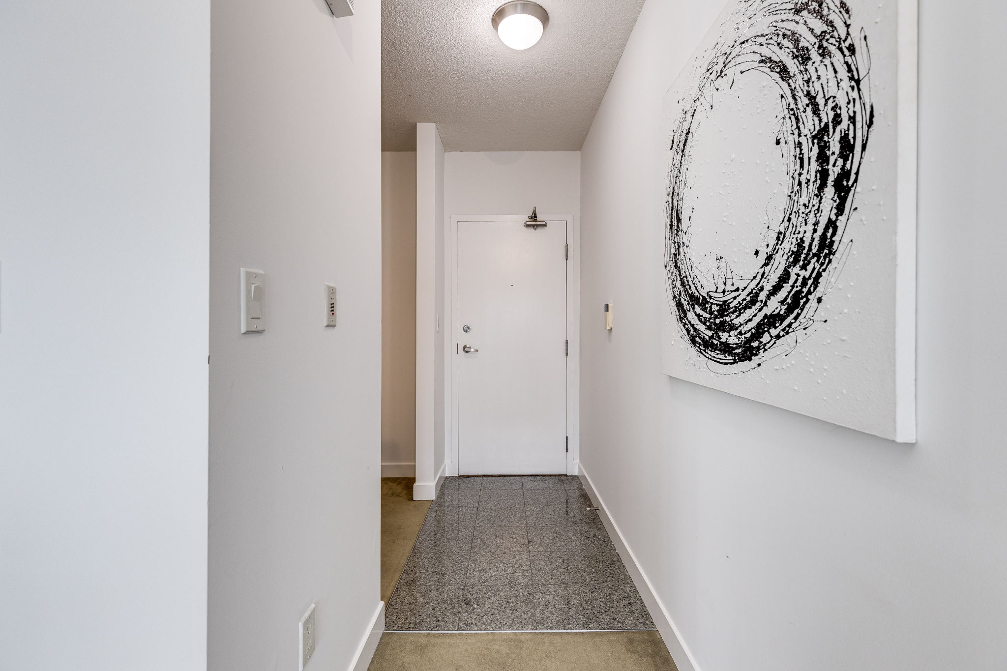 Toronto property showcase — delivered property photograph 23