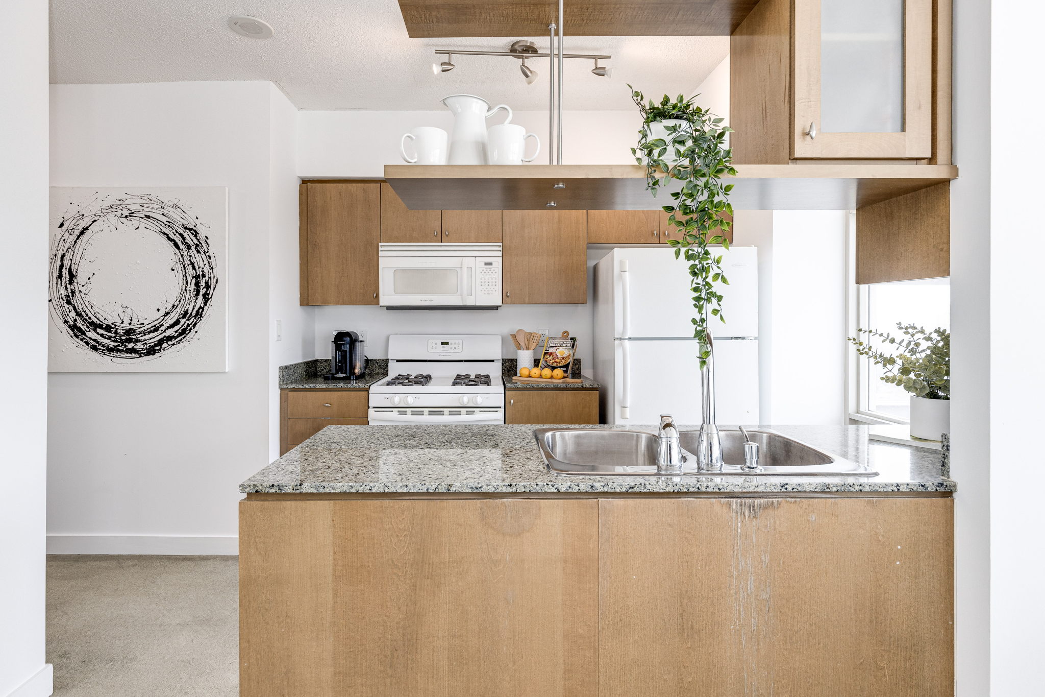 Toronto property showcase — delivered property photograph 9