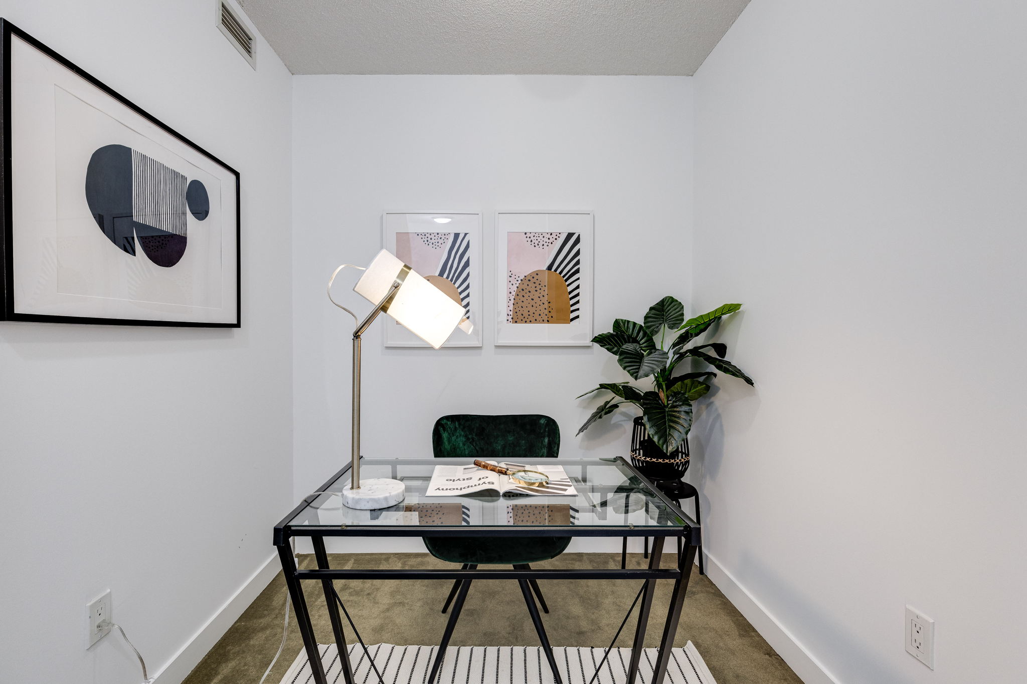 Toronto property showcase — delivered property photograph 24