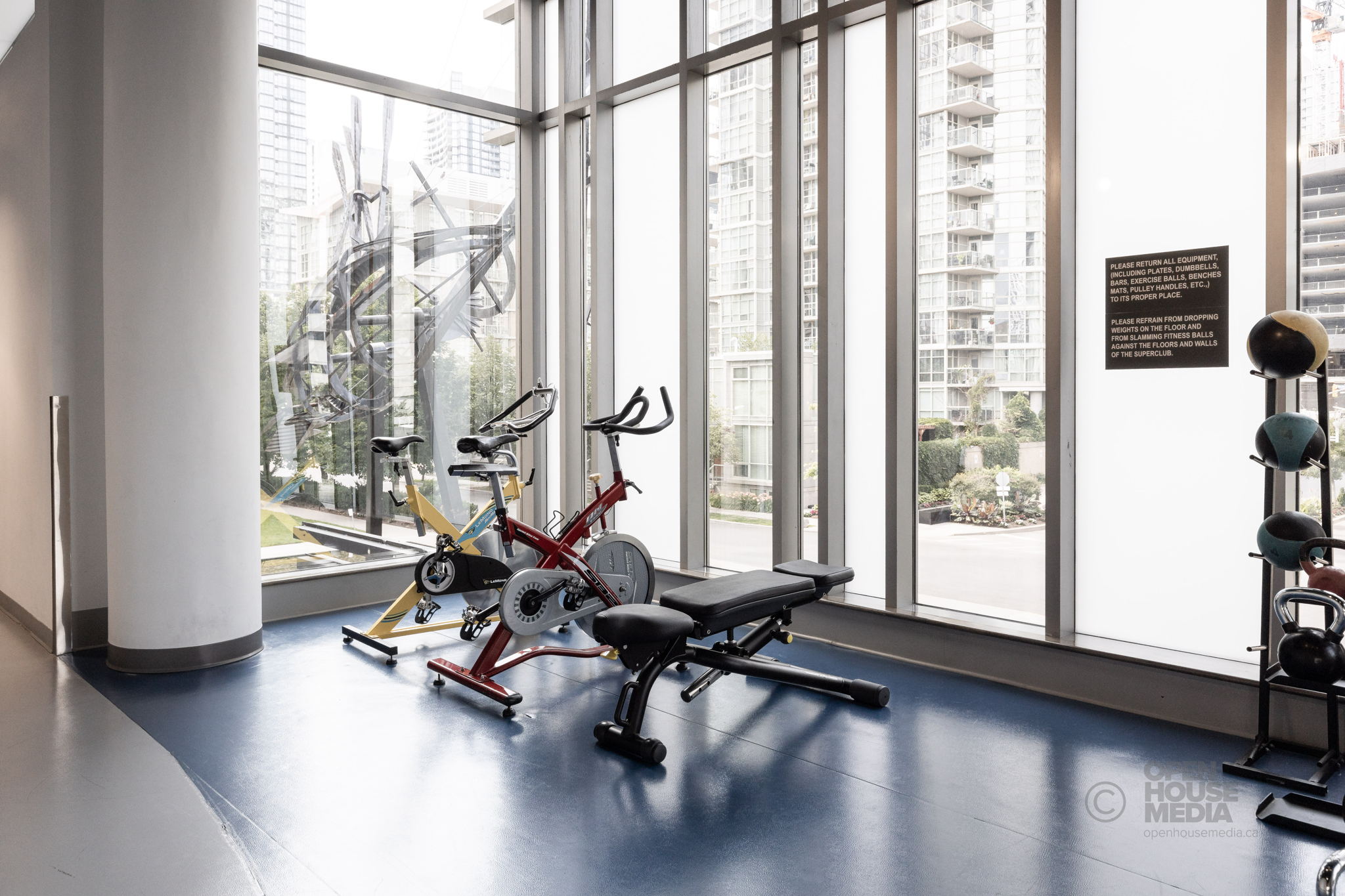 Toronto property showcase — delivered property photograph 51
