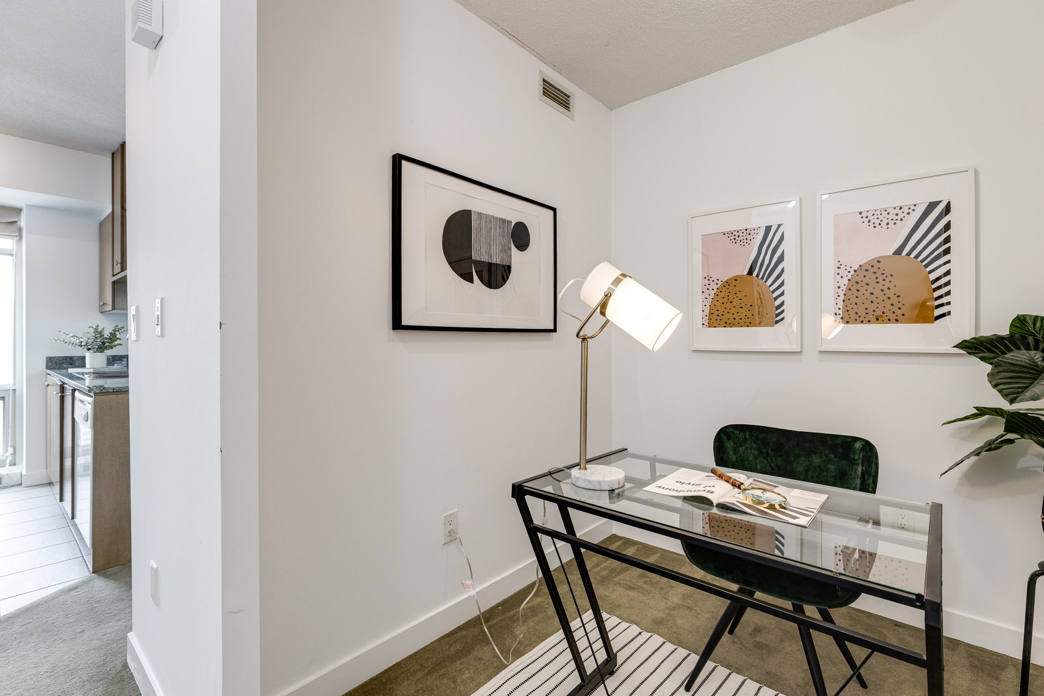 Toronto property showcase — delivered property photograph 25
