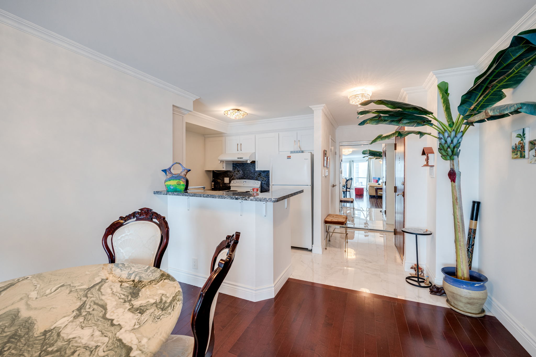 Toronto property showcase — delivered property photograph 9