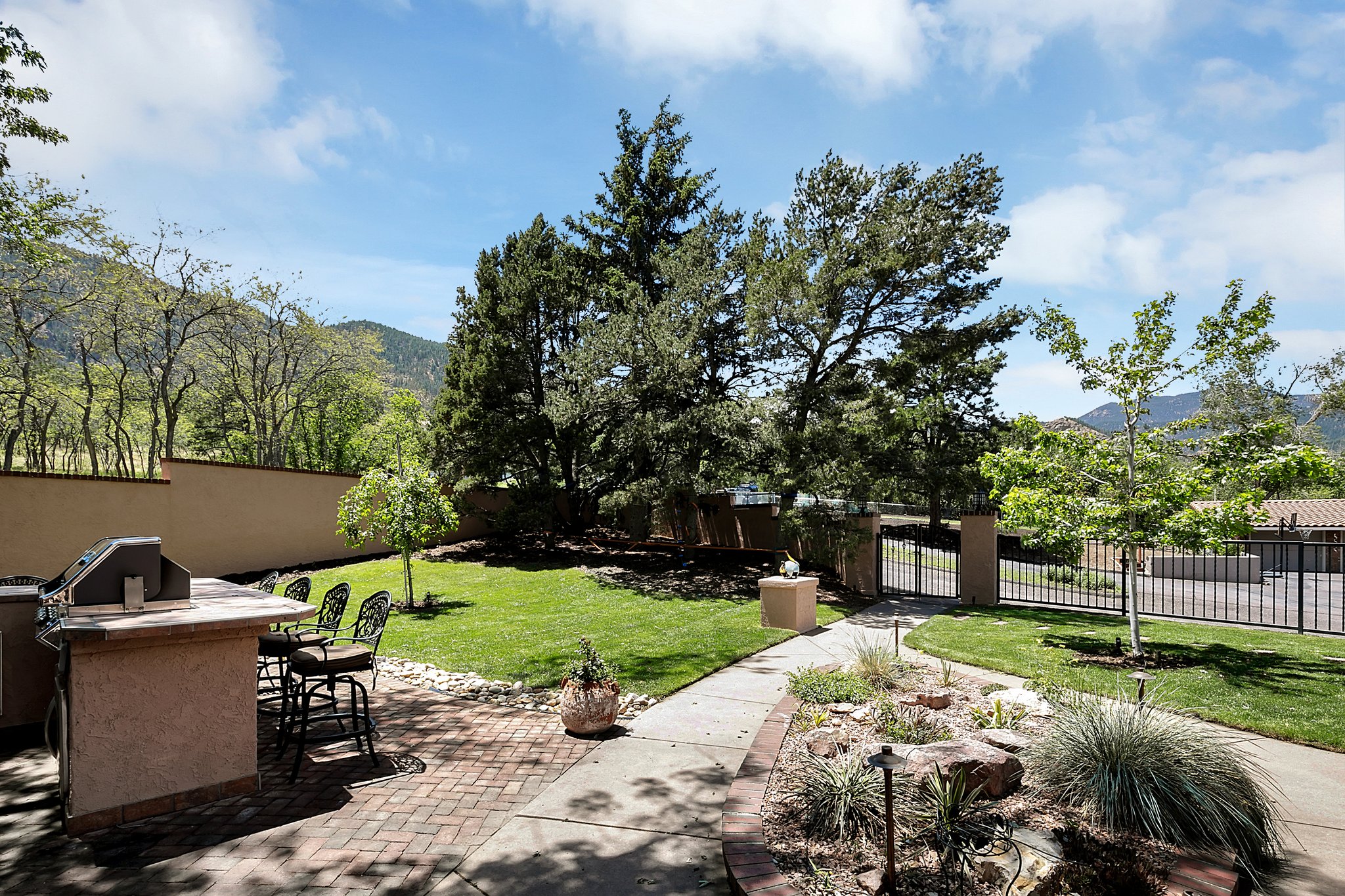 Back Yard