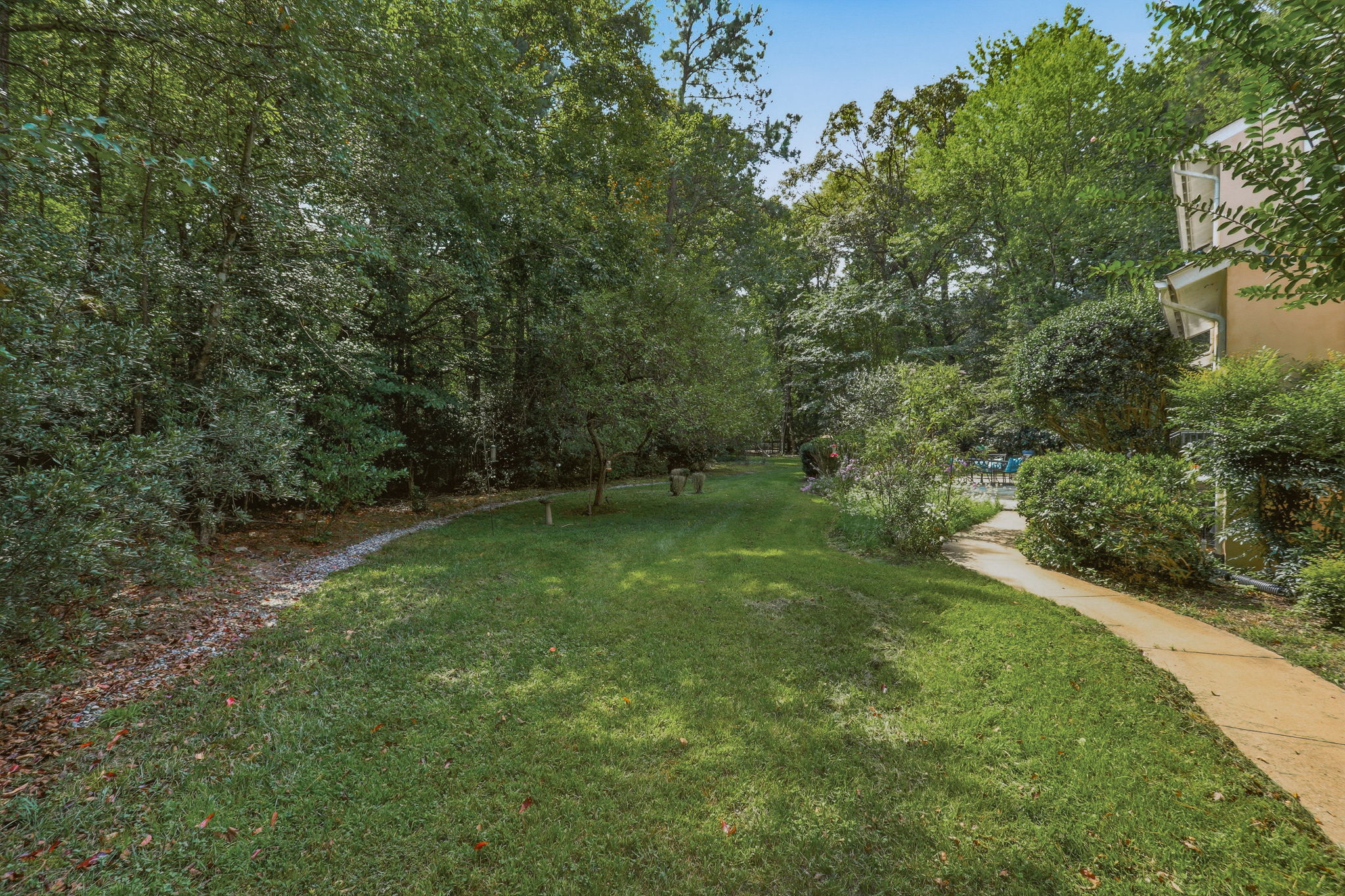 54-Backyard
