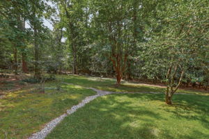 56-Backyard