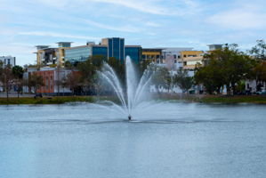  Photo 49