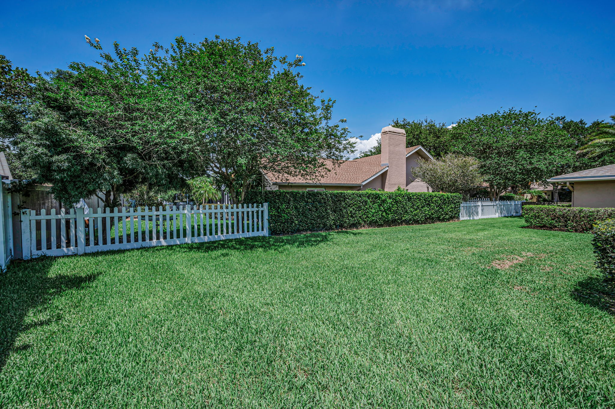 Backyard5
