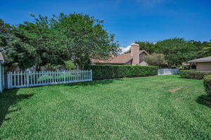 Backyard5