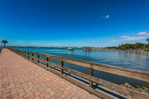 Patio Walkway1