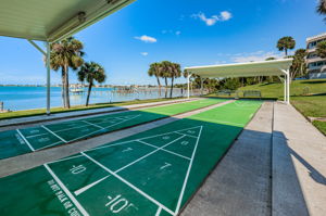 Shuffleboard12