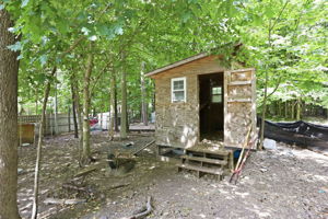  Photo 39