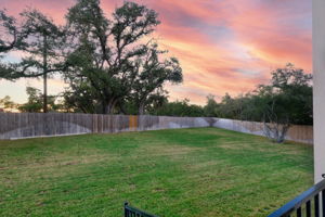 Back Yard