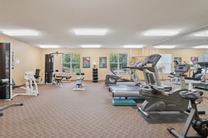 Clydesdale Trail 115-1609-920.jpg