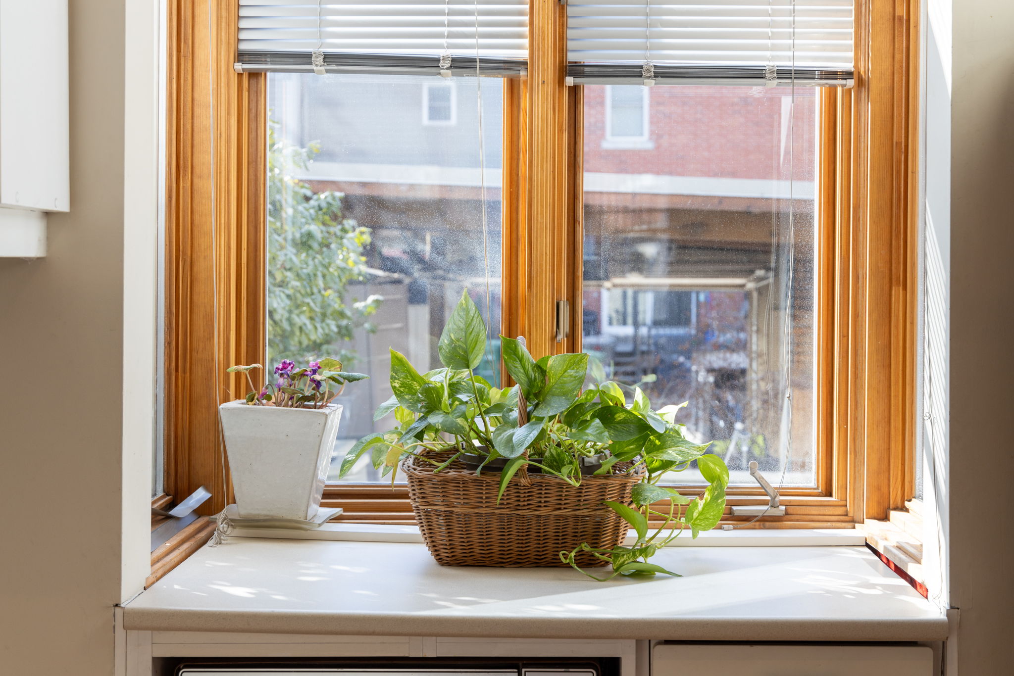 Toronto property showcase — delivered property photograph 31