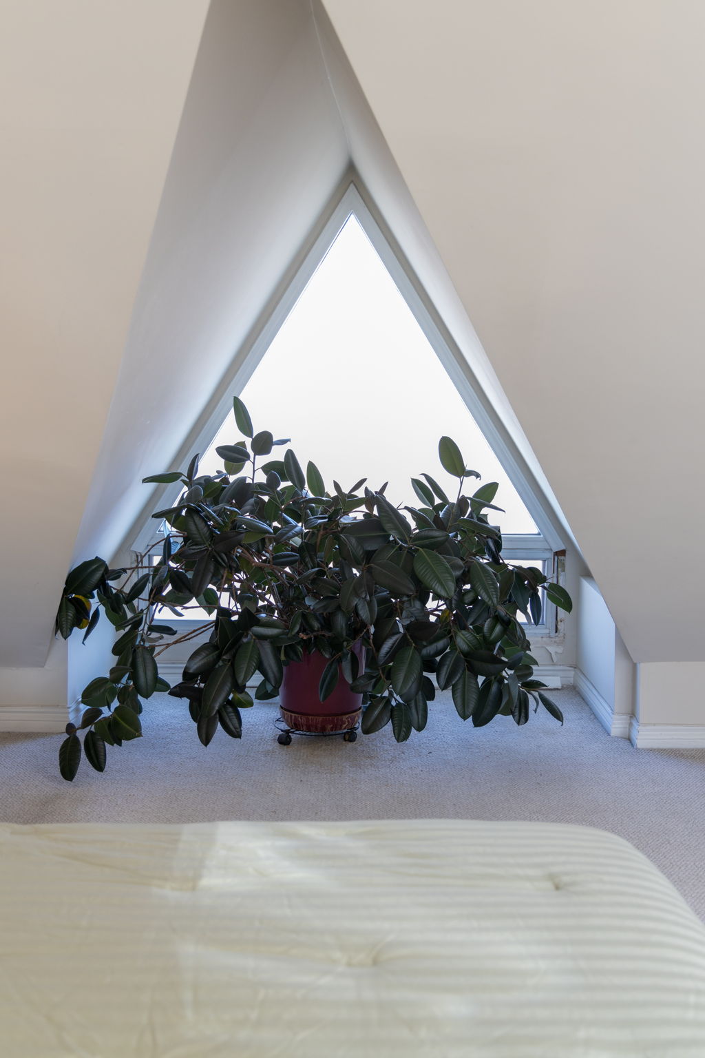 Toronto property showcase — delivered property photograph 40