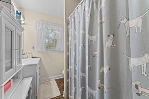  Photo 23