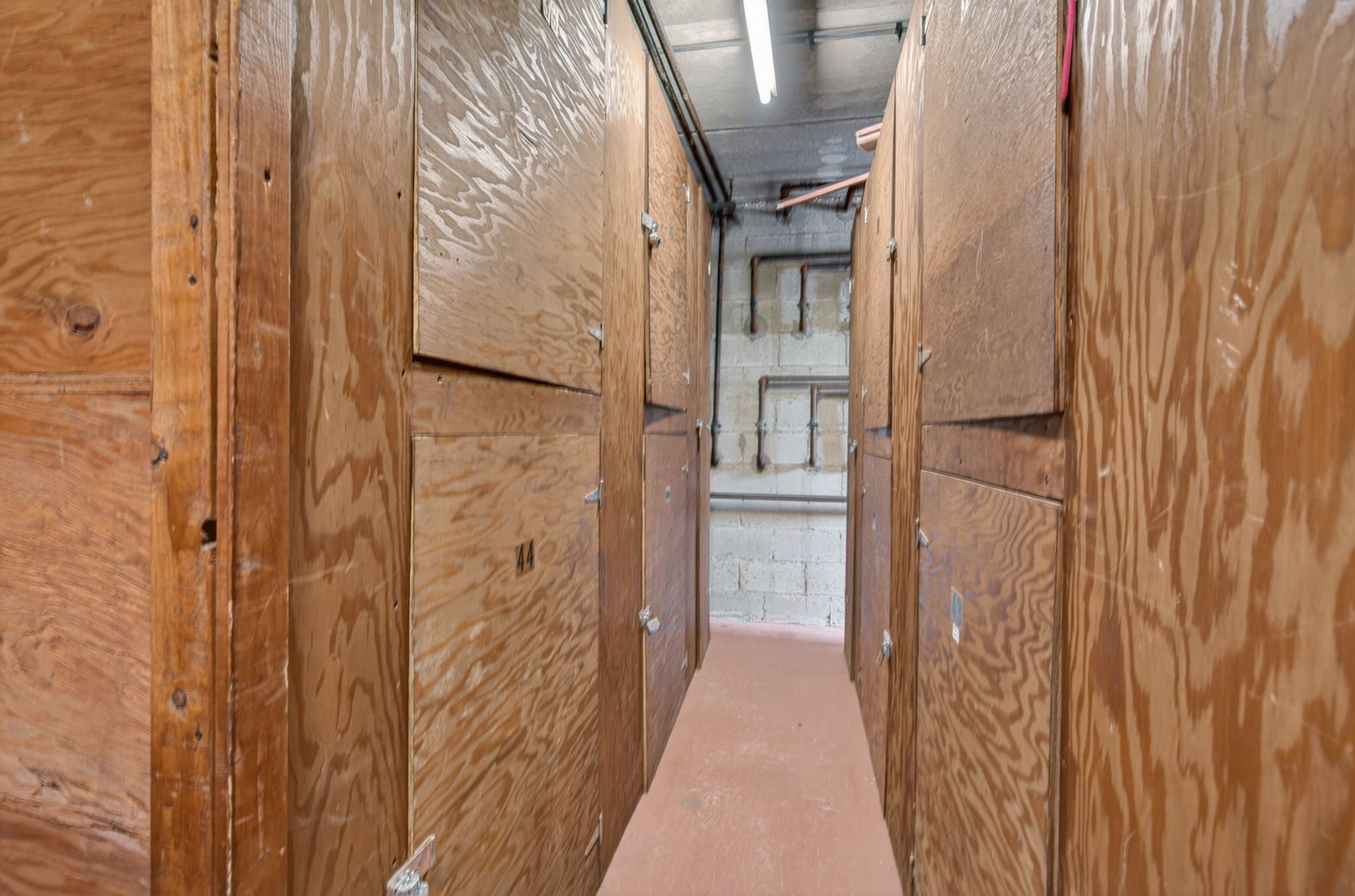  Photo 41