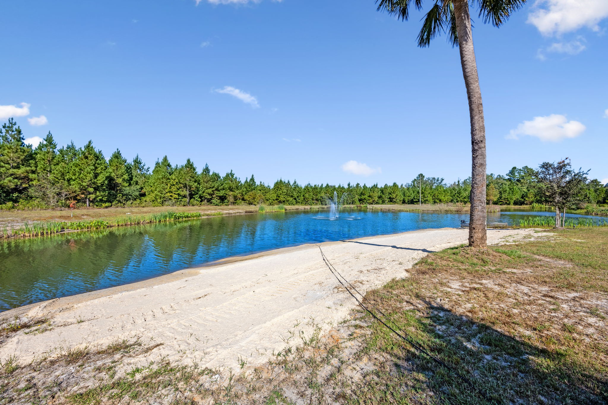 Pond