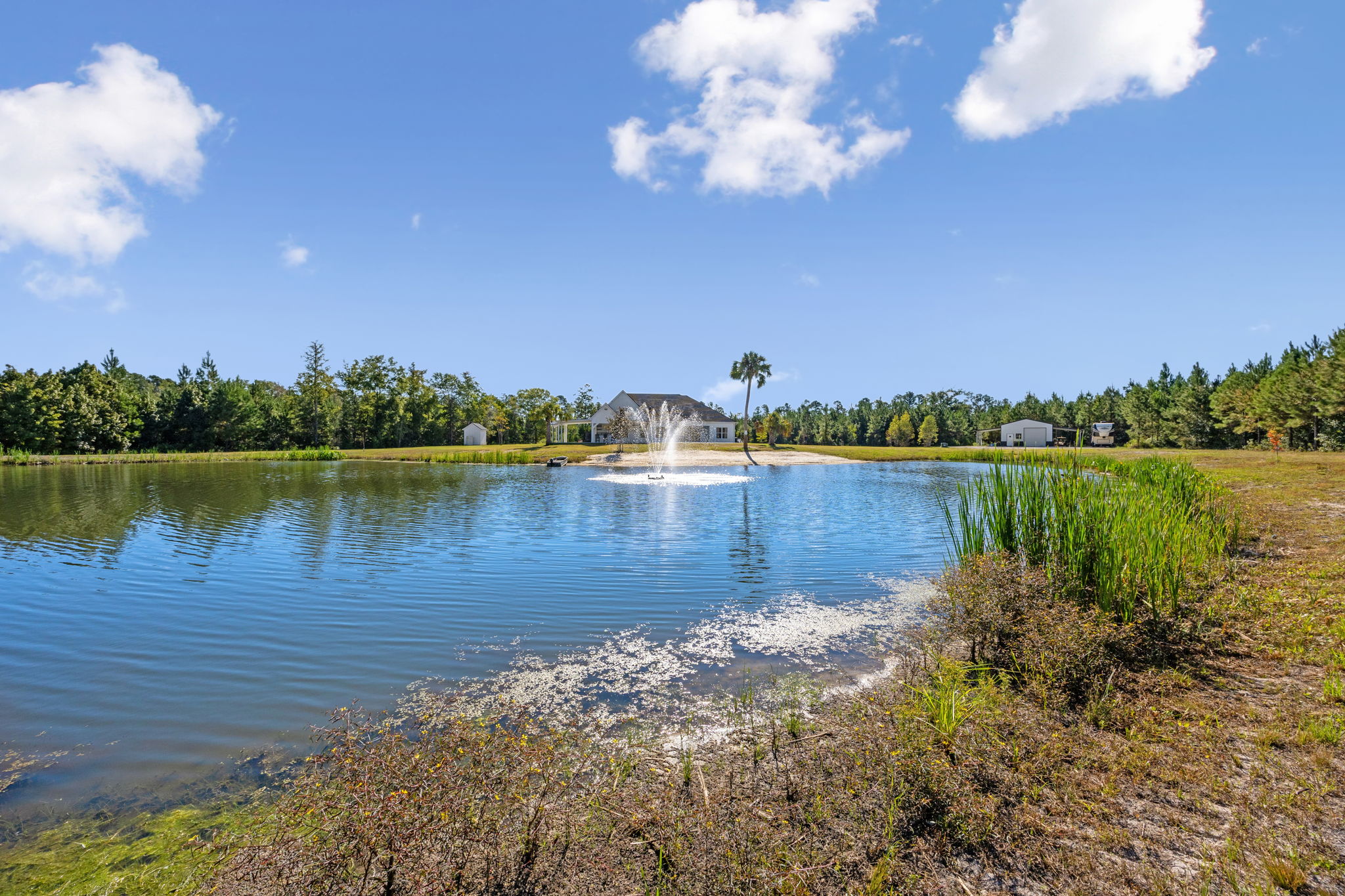 Pond