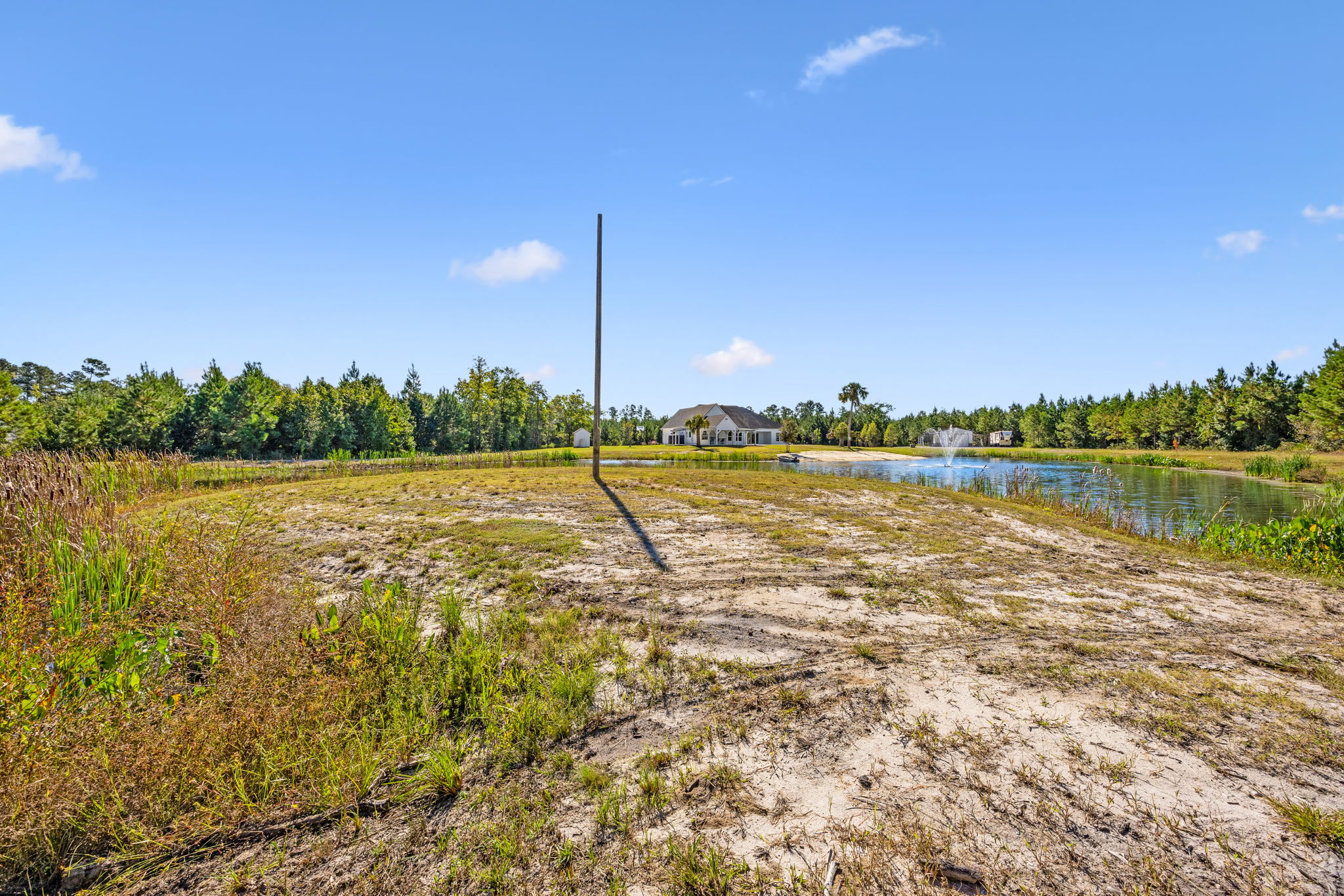 Pond