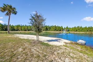Pond