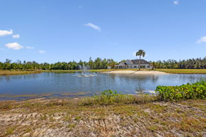 Pond