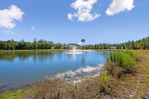 Pond