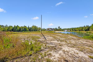 Pond