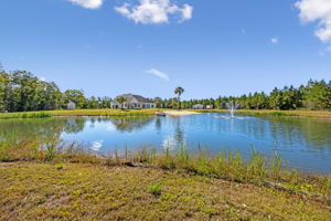 Pond