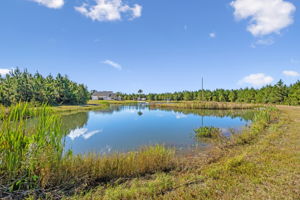 Pond