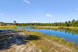 Pond