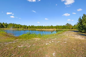Pond