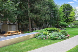 Photo 50