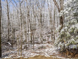 100 Secret Lake Rd, Phillipston, MA 50