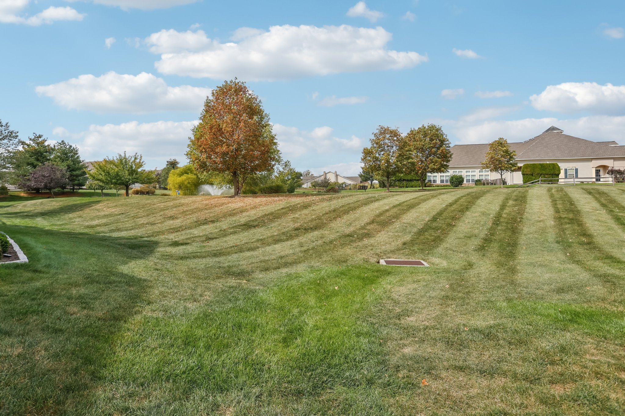 Villa Dr-S0810-044.jpg