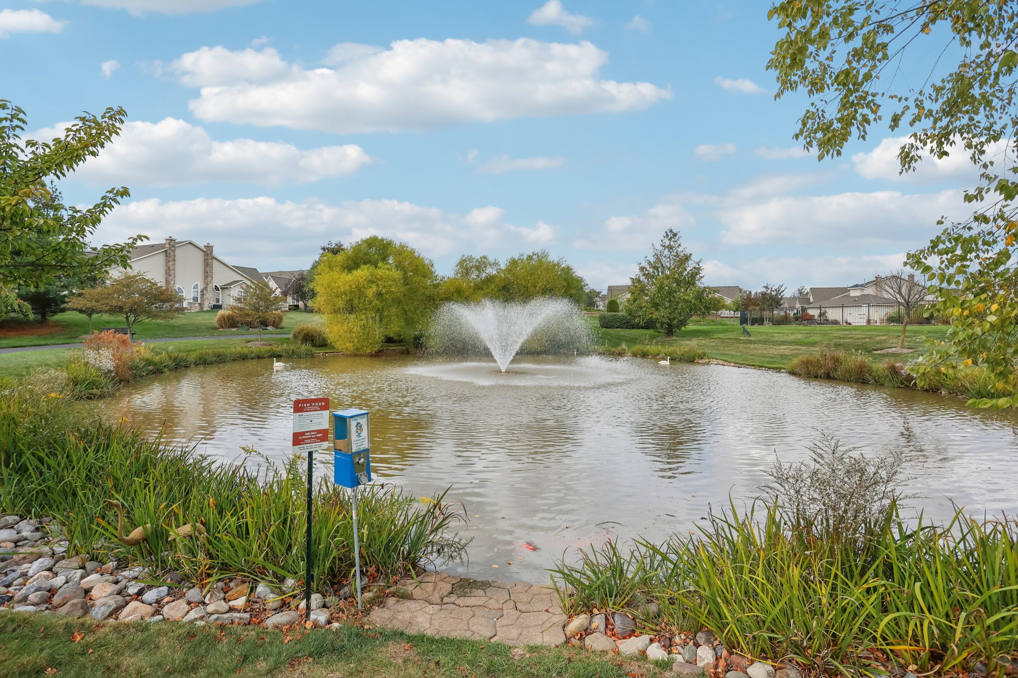 Villa Dr-S0810-045.jpg