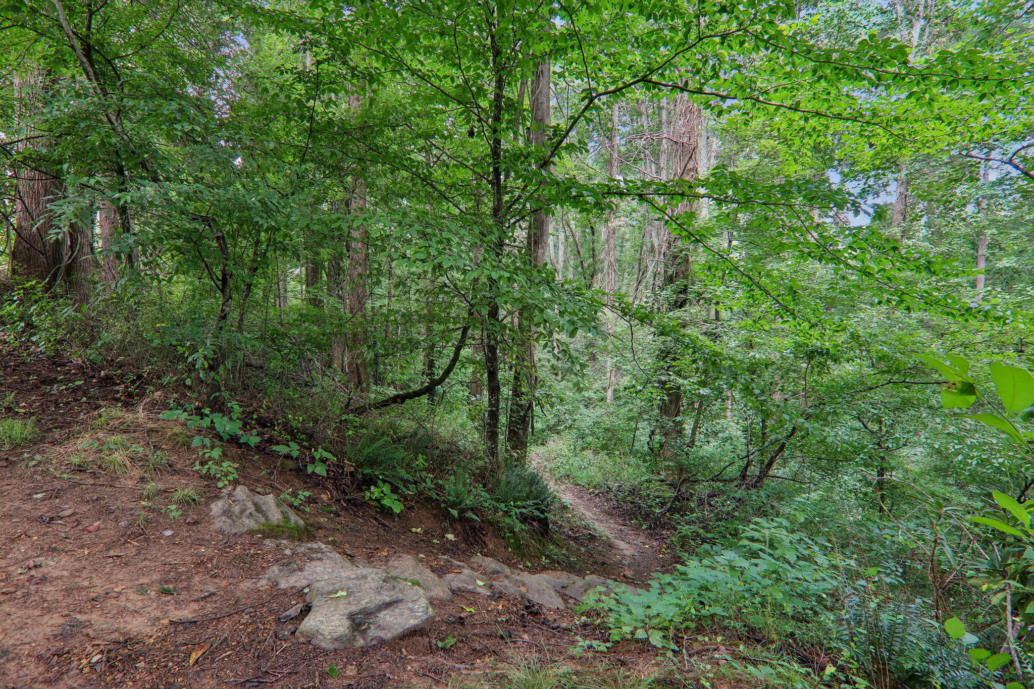 Vista Lake Dr 2-0808-905.jpg