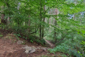 Vista Lake Dr 2-0808-905.jpg