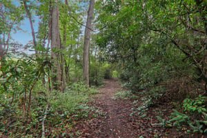 Vista Lake Dr 2-0808-906.jpg