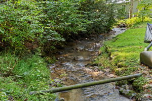 Photo 35