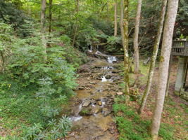  Photo 46