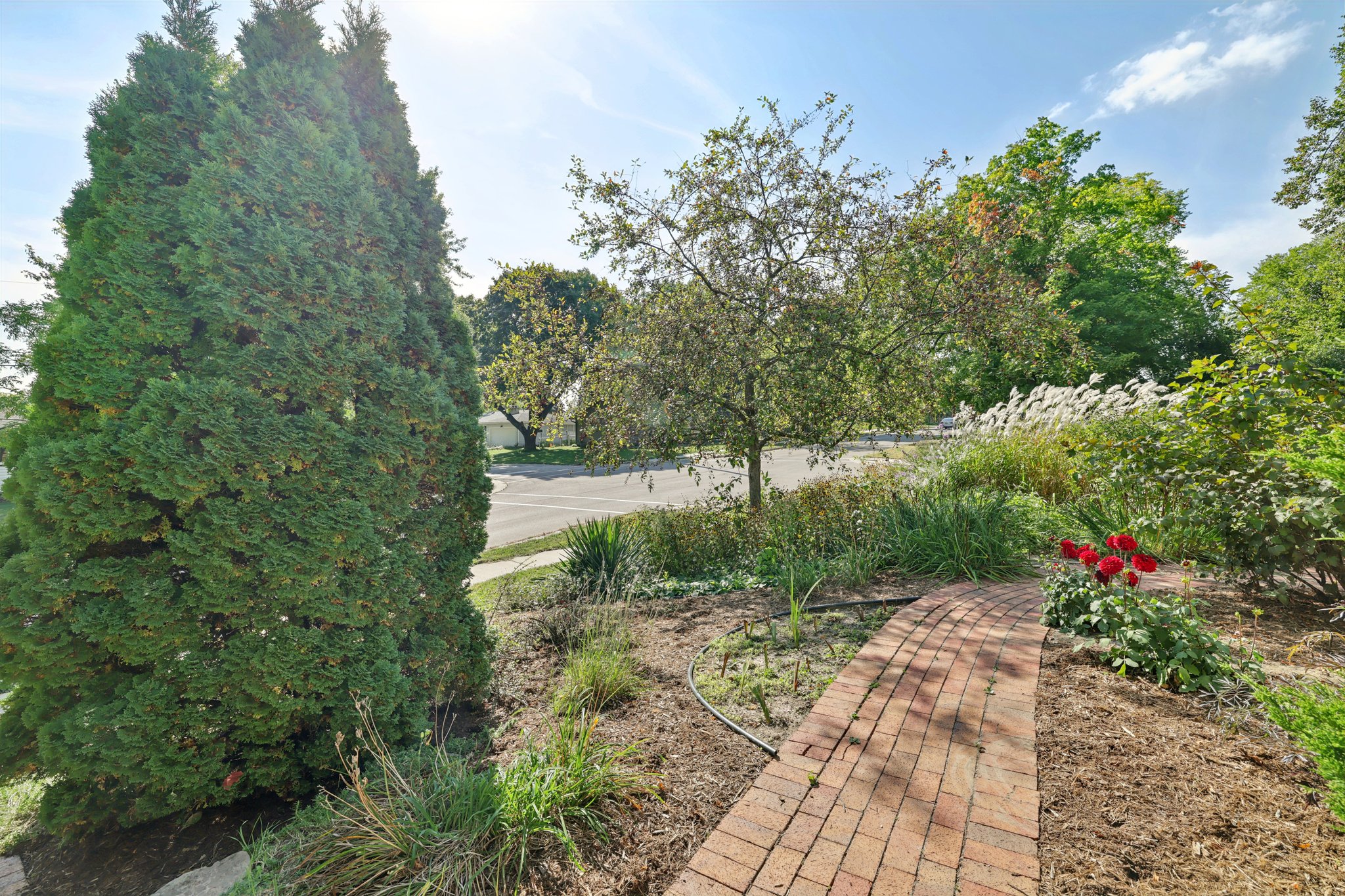 Tompkins Dr-S0110-006.jpg