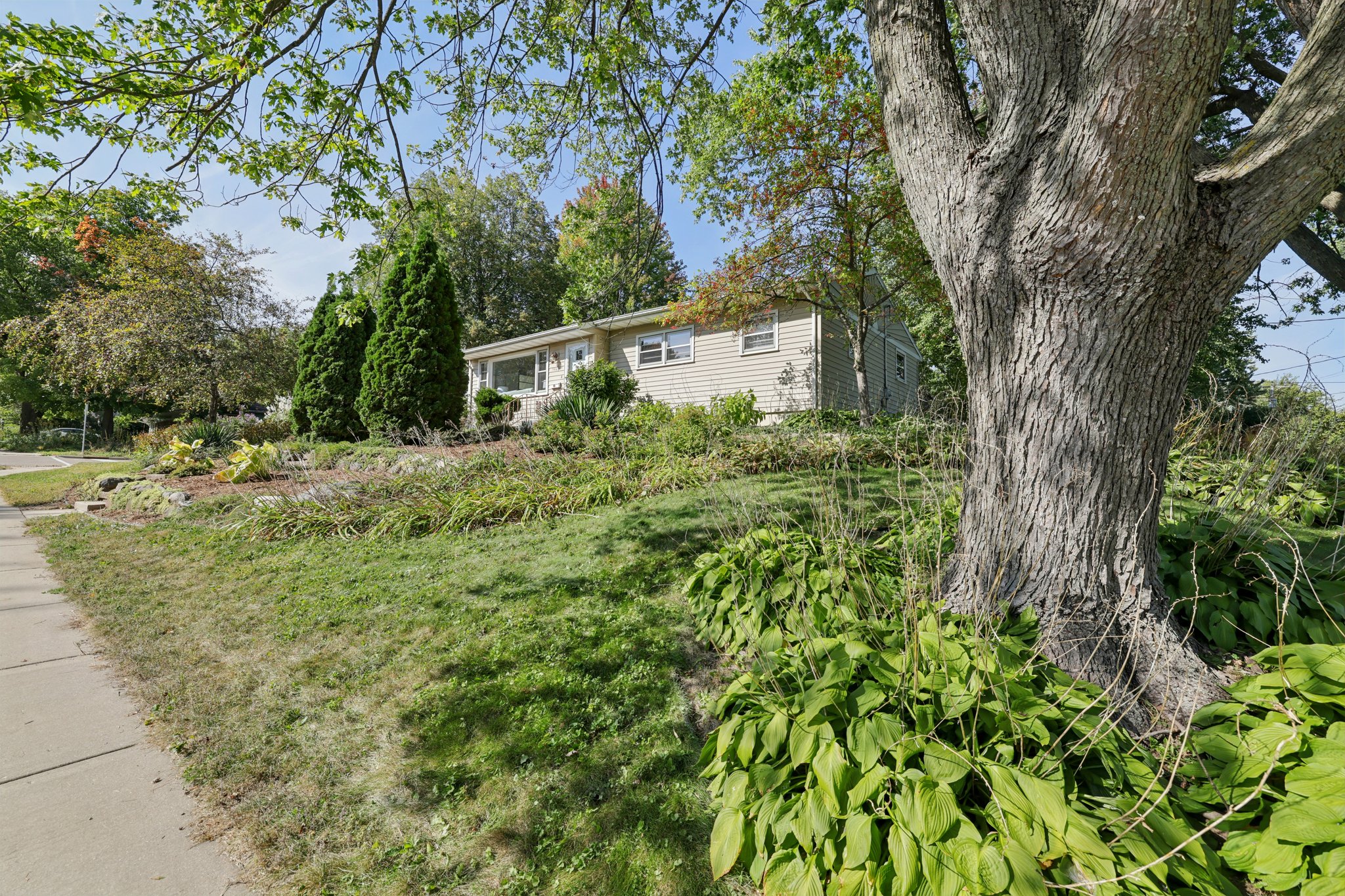 Tompkins Dr-S0110-007.jpg