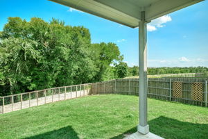 Back View/Yard