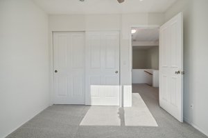  Photo 39