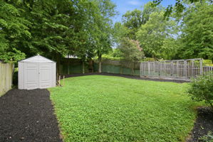  Photo 31