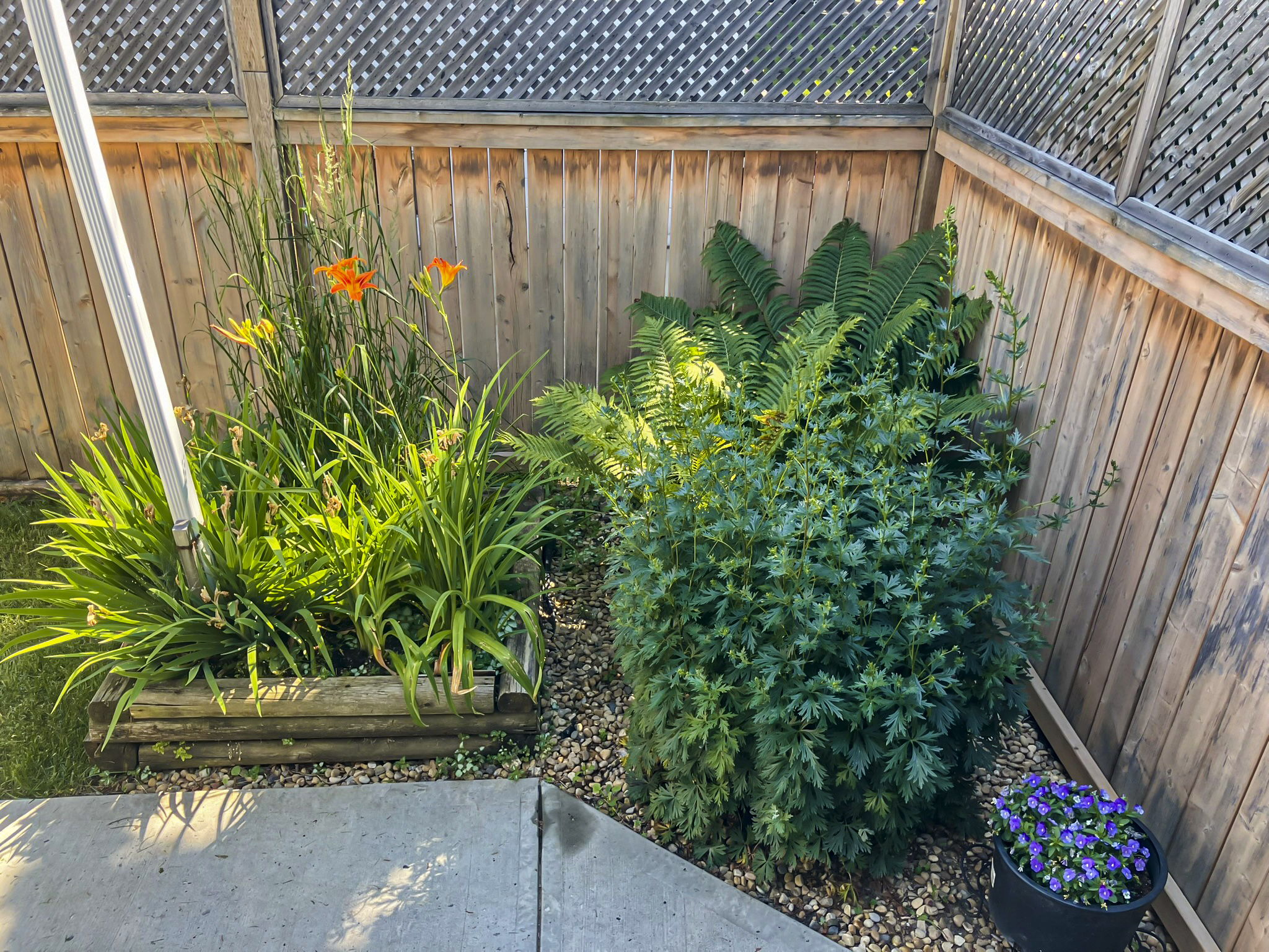  Photo 27