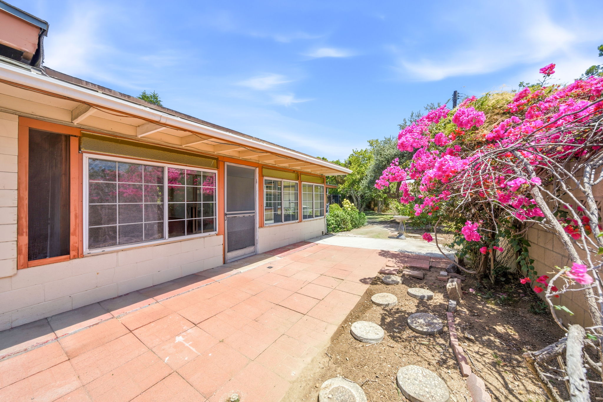  Photo 47
