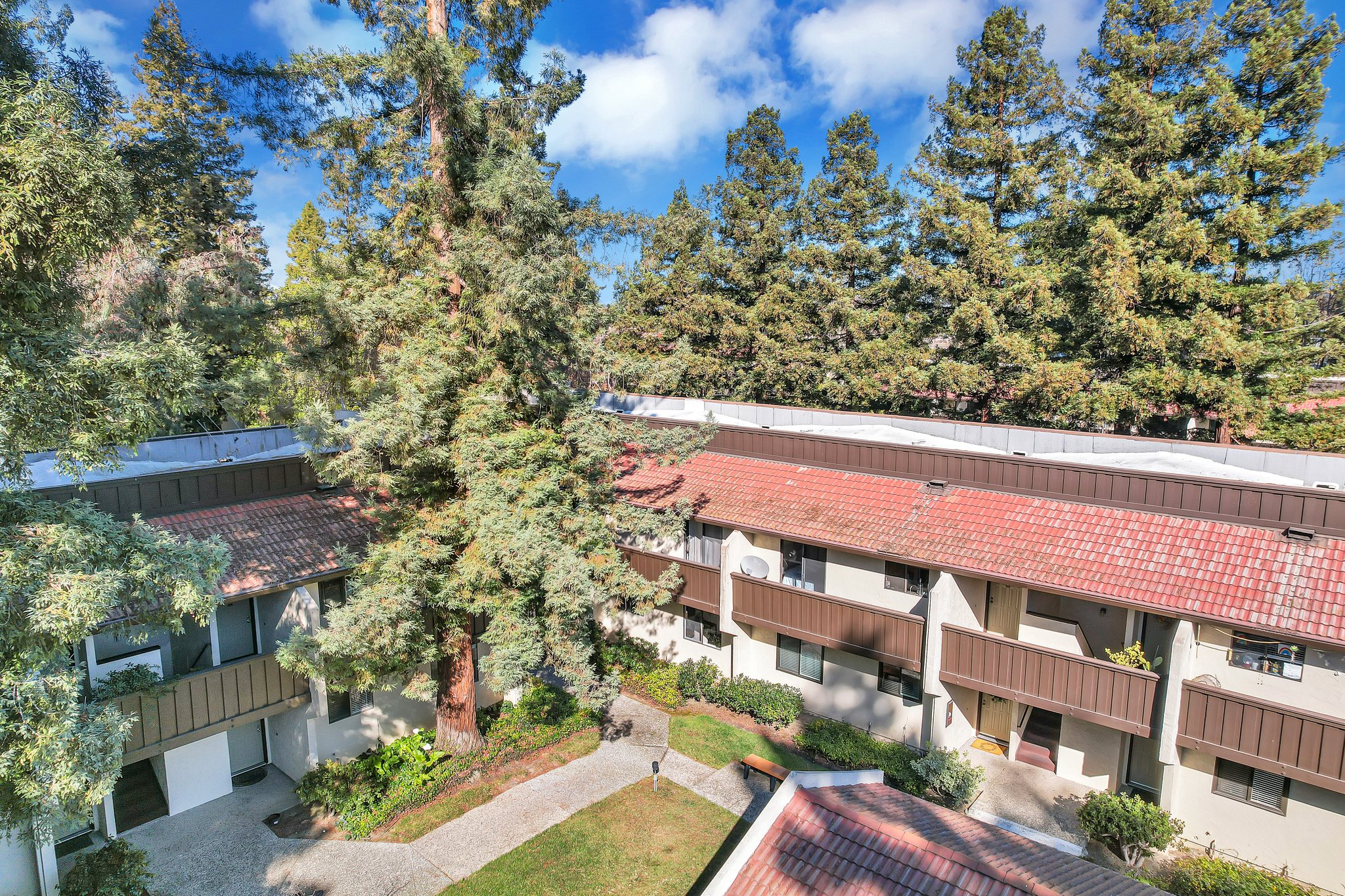 1001 Evelyn Terrace E, Sunnyvale, CA 94086, USA Photo 35