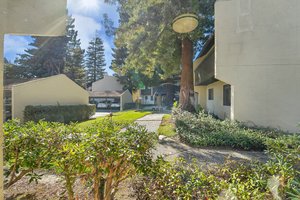 1001 Evelyn Terrace E, Sunnyvale, CA 94086, USA Photo 16